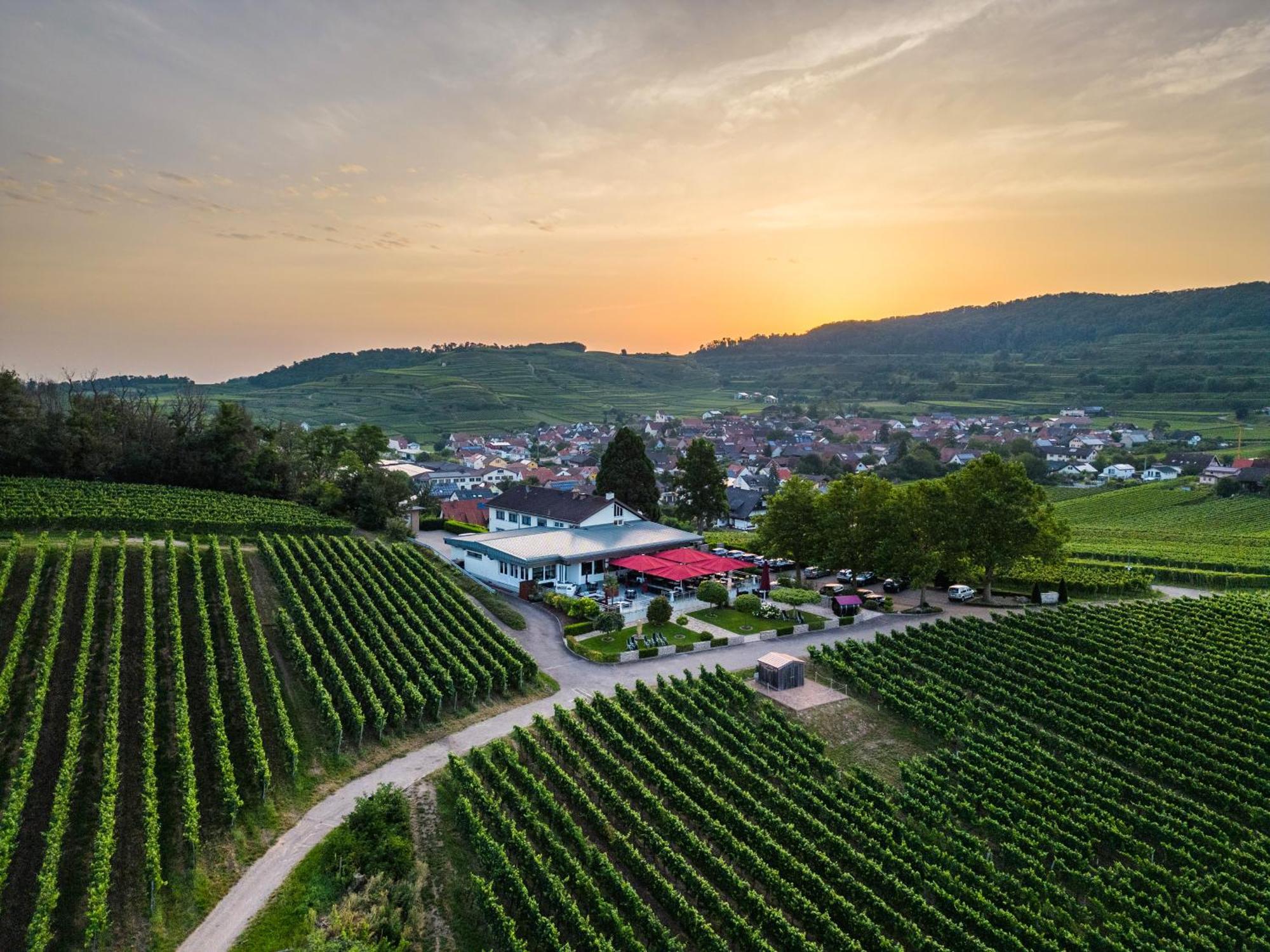 Koepfers Steinbuck Hotel Bischoffingen Exterior photo